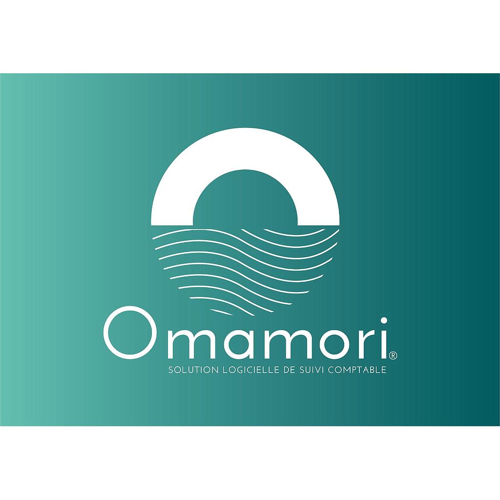 ERP Omamori SAAS - Standard