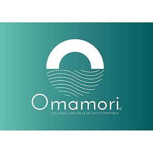 ERP Omamori SAAS - Standard